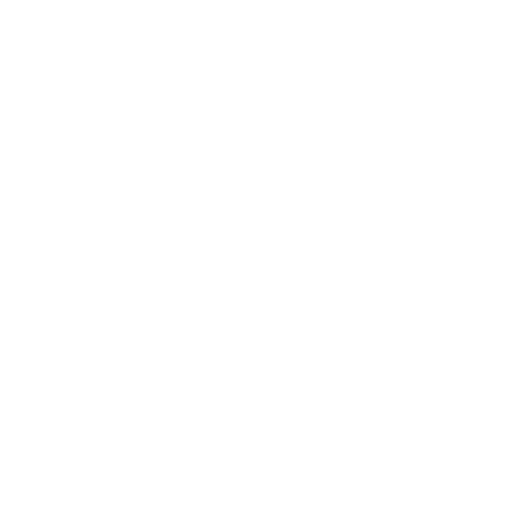 Randers logo